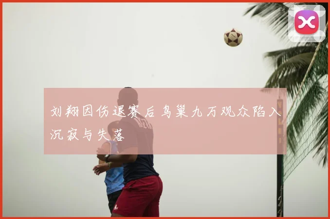 刘翔因伤退赛后鸟巢九万观众陷入沉寂与失落