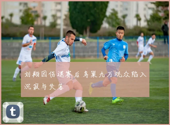 刘翔因伤退赛后鸟巢九万观众陷入沉寂与失落