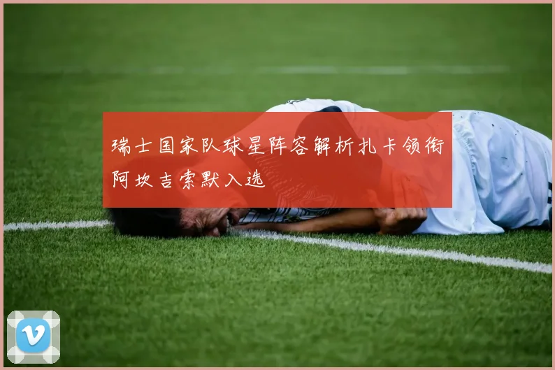 瑞士国家队球星阵容解析扎卡领衔阿坎吉索默入选