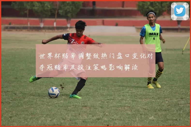 世界杯赔率调整致热门盘口变化对夺冠赔率及投注策略影响解读