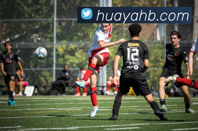 EMC易倍(中国区)官方网站服务体系